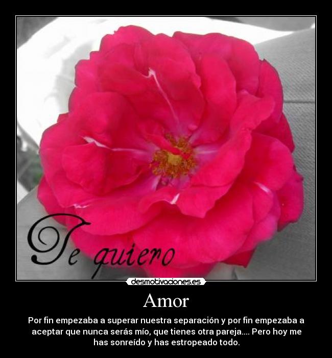 Amor - Por fin empezaba a superar nuestra separación y por fin empezaba a
aceptar que nunca serás mío, que tienes otra pareja.... Pero hoy me
has sonreído y has estropeado todo.