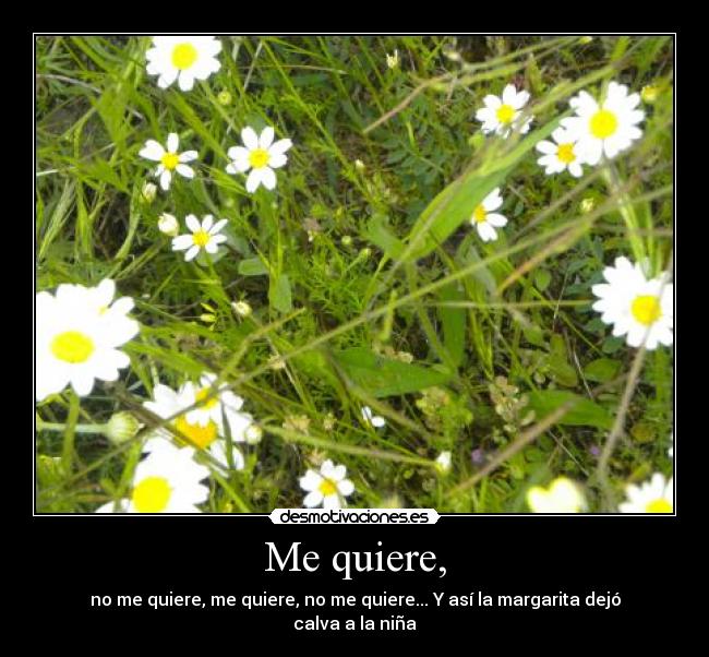 Me quiere, - 
