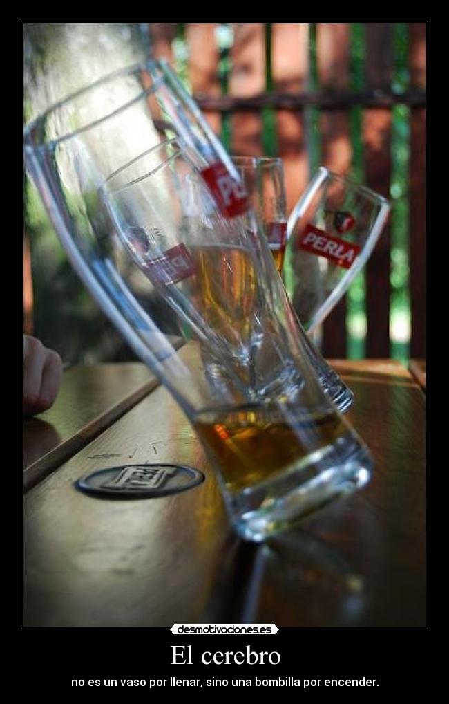 El cerebro - 