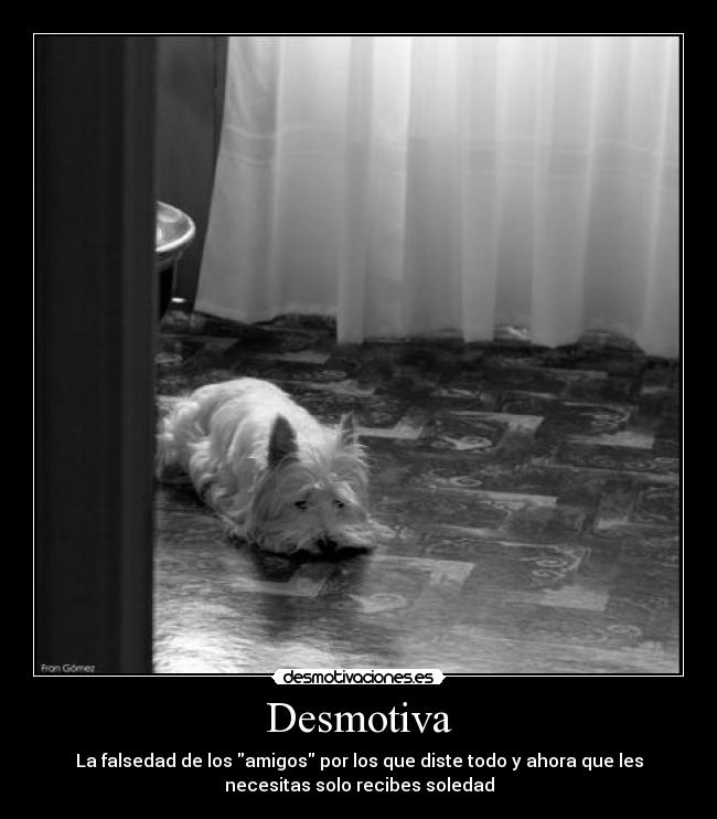 Desmotiva - La falsedad de los amigos por los que diste todo y ahora que les
necesitas solo recibes soledad