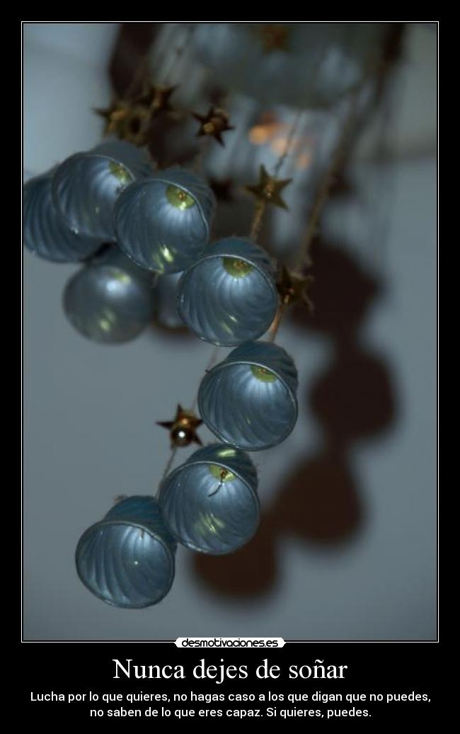 Nunca dejes de soñar - 