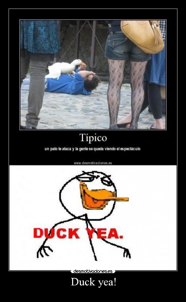 Duck yea! -