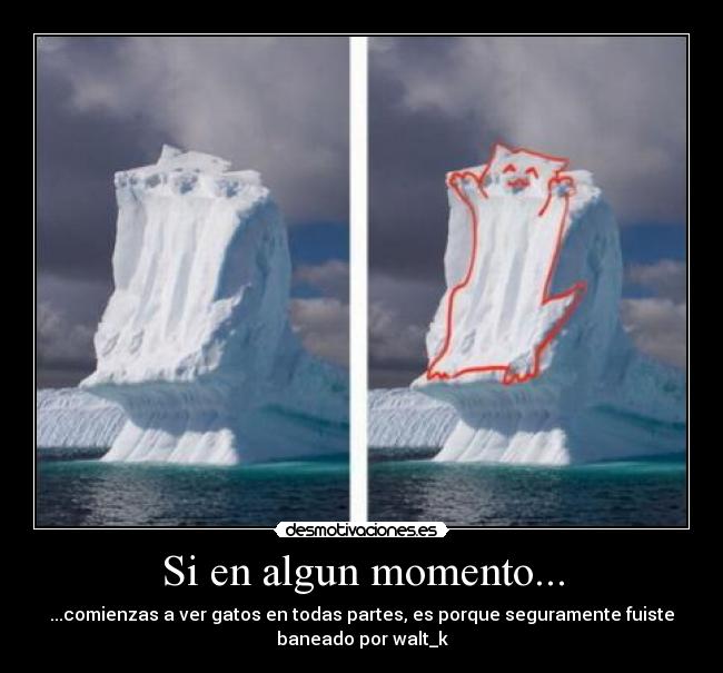 Si en algun momento... -