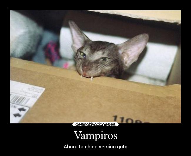 Vampiros - Ahora tambien version gato