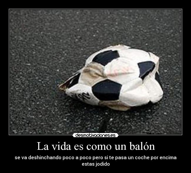 carteles vida vida desmotivaciones