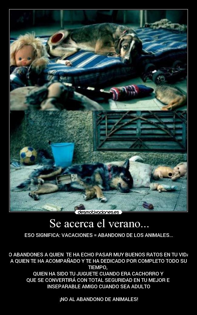 Se acerca el verano... -