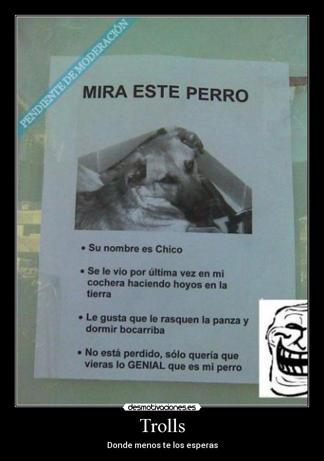 Trolls - Donde menos te los esperas