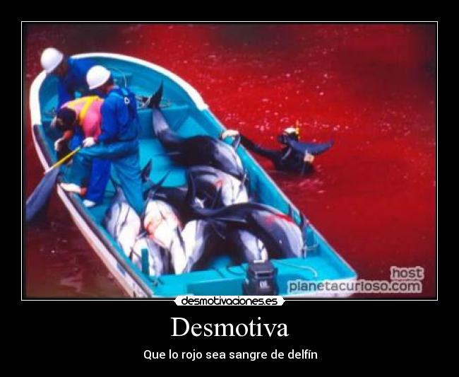 Desmotiva - Que lo rojo sea sangre de delfín