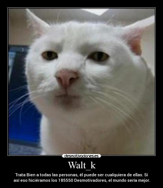 Walt_k - Trata Bien a todas las personas, él puede ser cualquiera de ellas. Si
así eso hiciéramos los 185550 Desmotivadores, el mundo sería mejor.
