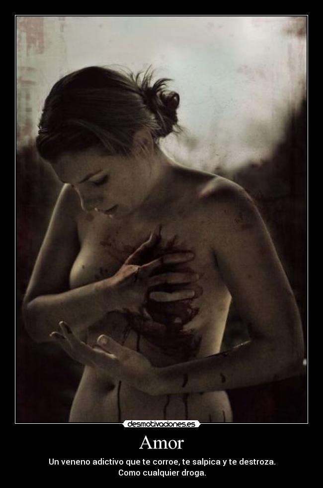 Amor - 