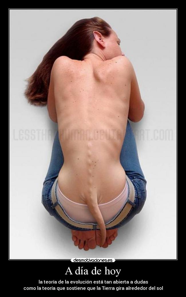 A día de hoy - la teoría de la evolución está tan abierta a dudas
como la teoría que sostiene que la Tierra gira alrededor del sol