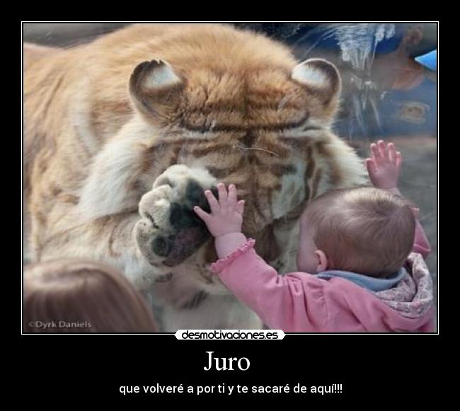 Juro -