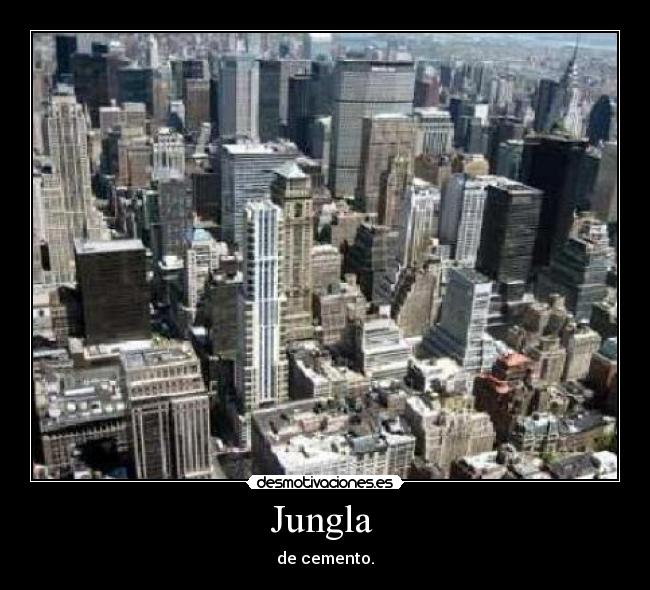 Jungla  - de cemento.