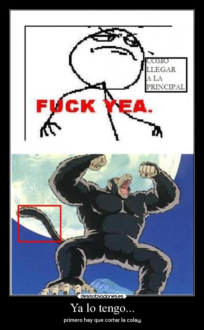 Ya lo tengo... - 