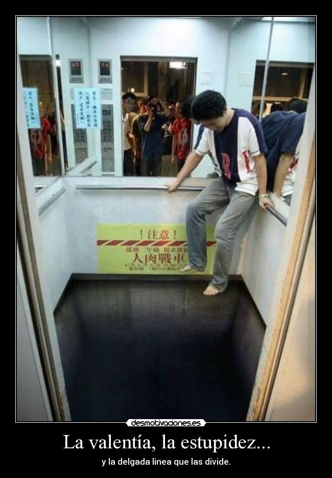 La valentía, la estupidez... - 
