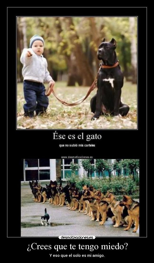 carteles miedo einjerjer desmotivaciones