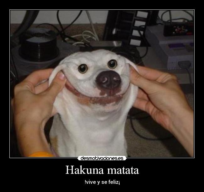 Hakuna matata - 