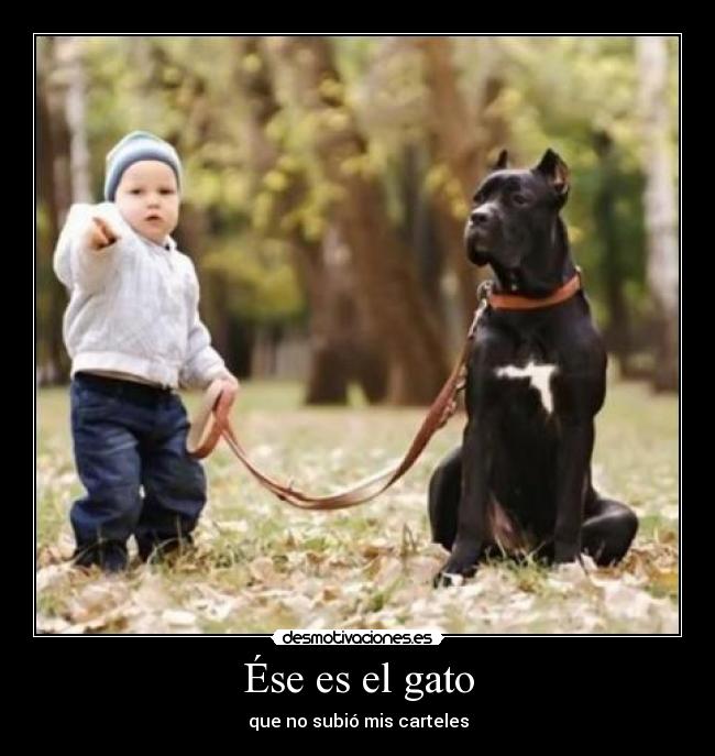 carteles nino perro walt_k desmotivaciones