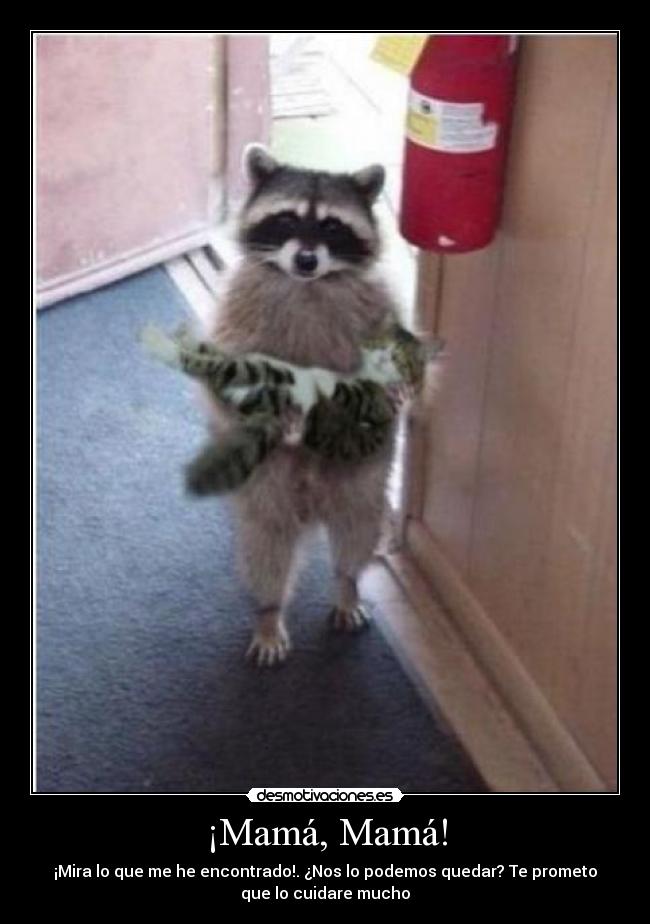 ¡Mamá, Mamá! -
