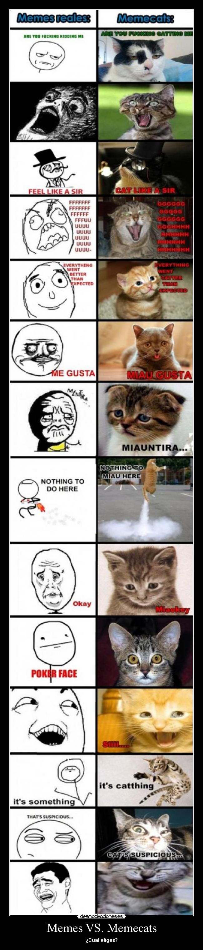 Memes VS. Memecats - ¿Cual eliges?