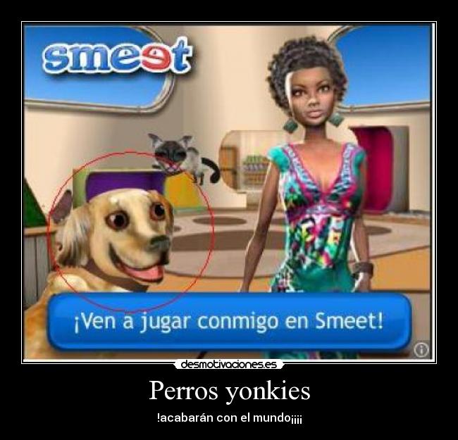 Perros yonkies - !acabarán con el mundo¡¡¡¡