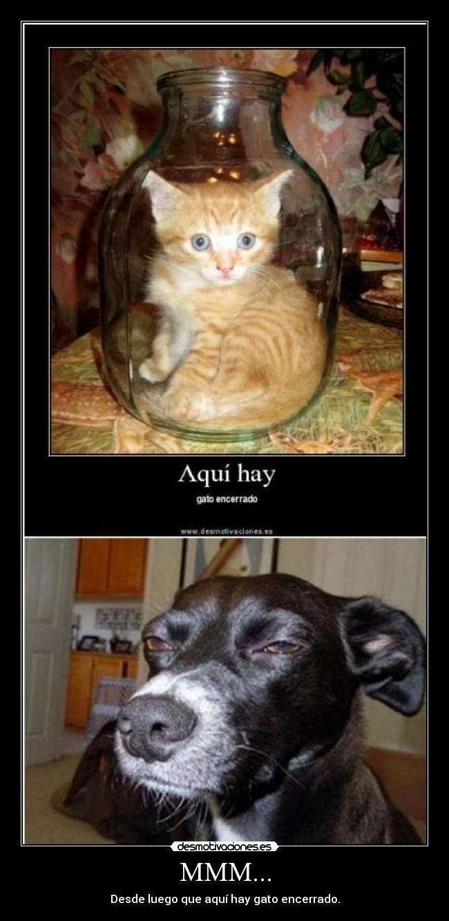 MMM... - Desde luego que aquí hay gato encerrado.