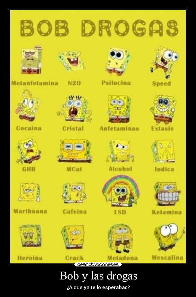 Bob y las drogas -