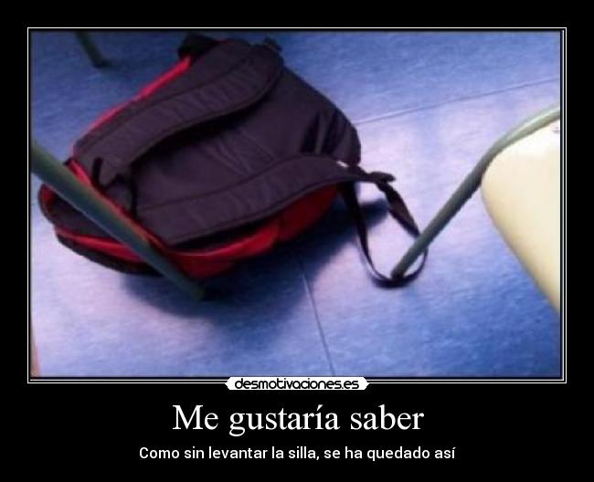 Me gustaría saber -