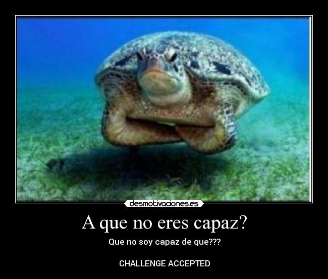 A que no eres capaz? -