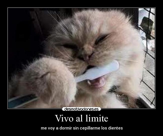 Vivo al limite - me voy a dormir sin cepillarme los dientes