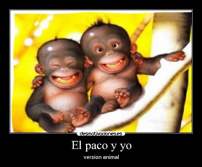 El paco y yo - version animal