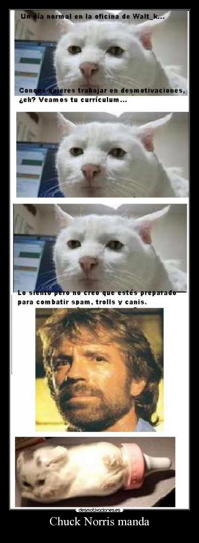 Chuck Norris manda -
