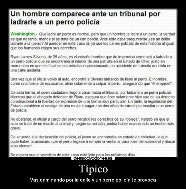 Típico - Vas caminando por la calle y un perro policía te provoca