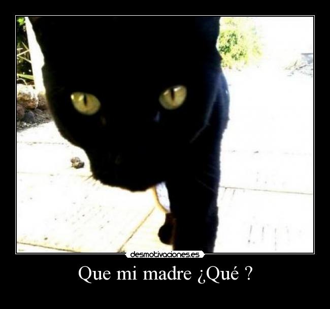 Que mi madre ¿Qué ? -