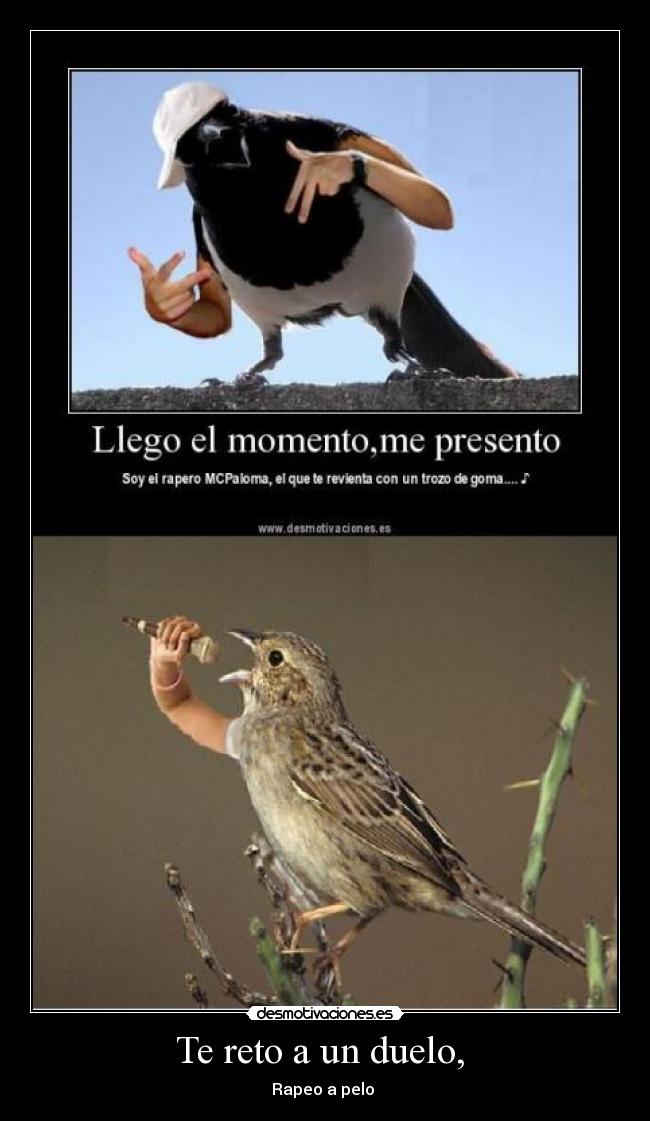 Te reto a un duelo, -