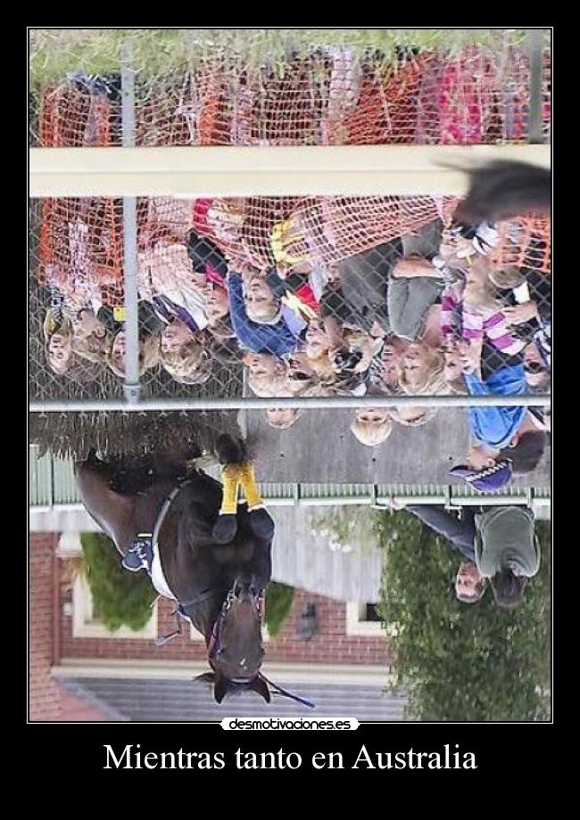 Mientras tanto en Australia - 