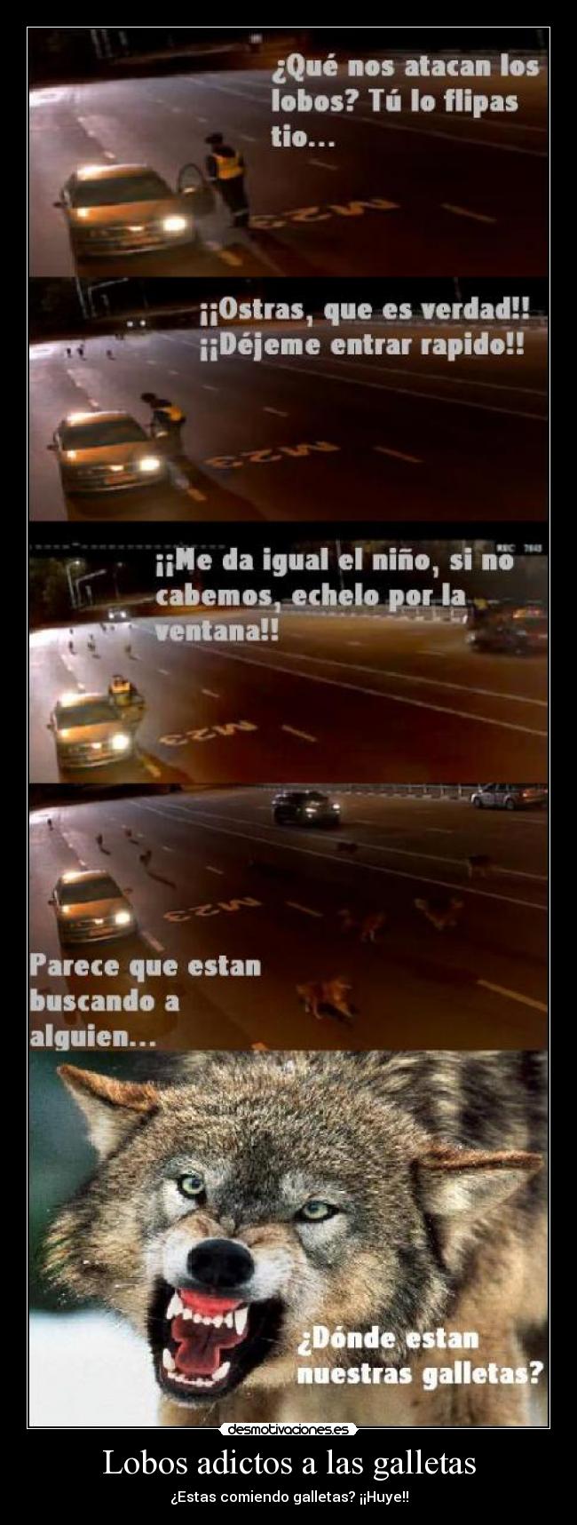 Lobos adictos a las galletas -