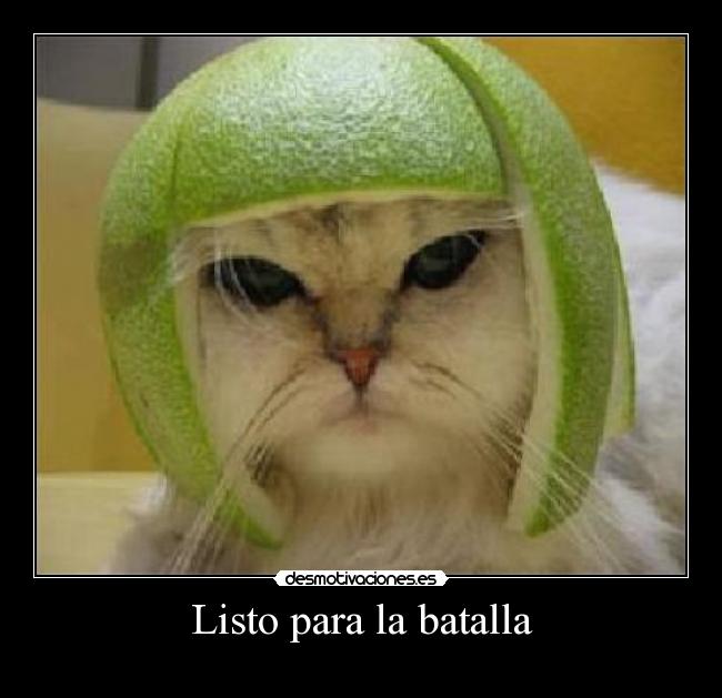 Listo para la batalla -