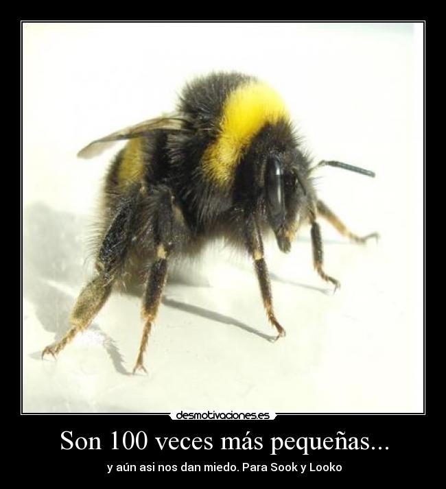 Son 100 veces más pequeñas... -