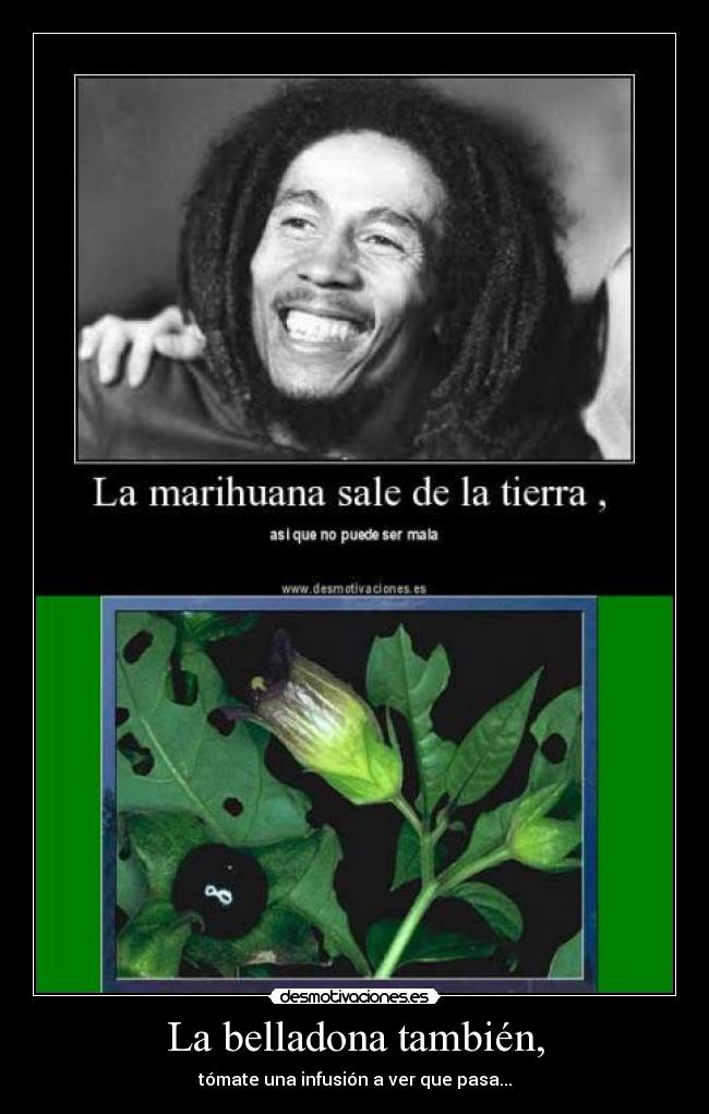 La belladona también, - tómate una infusión a ver que pasa...