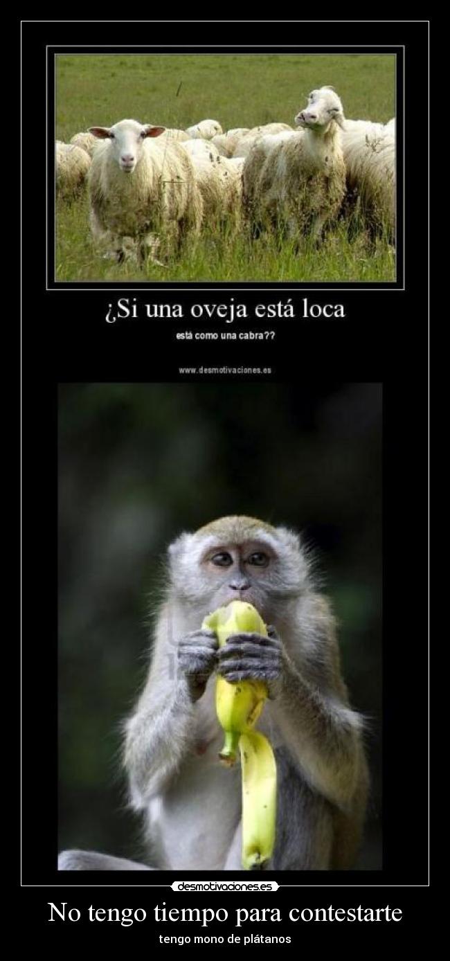 No tengo tiempo para contestarte -