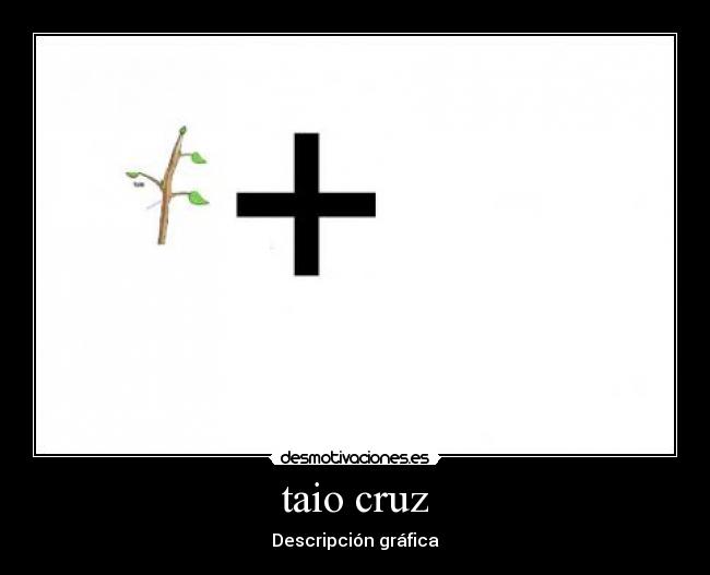 taio cruz - Descripción gráfica
