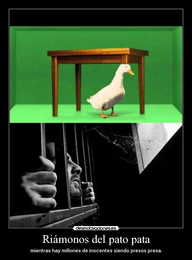 Riámonos del pato pata -