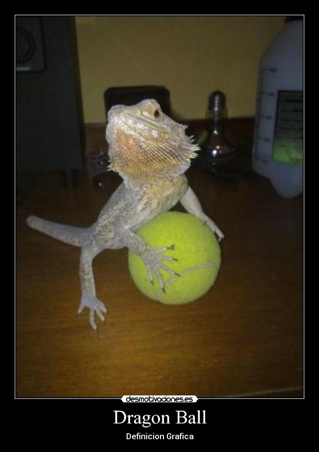 Dragon Ball - Definicion Grafica