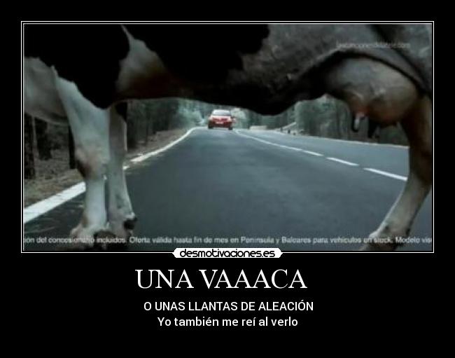 carteles soniasparidas desmotivaciones