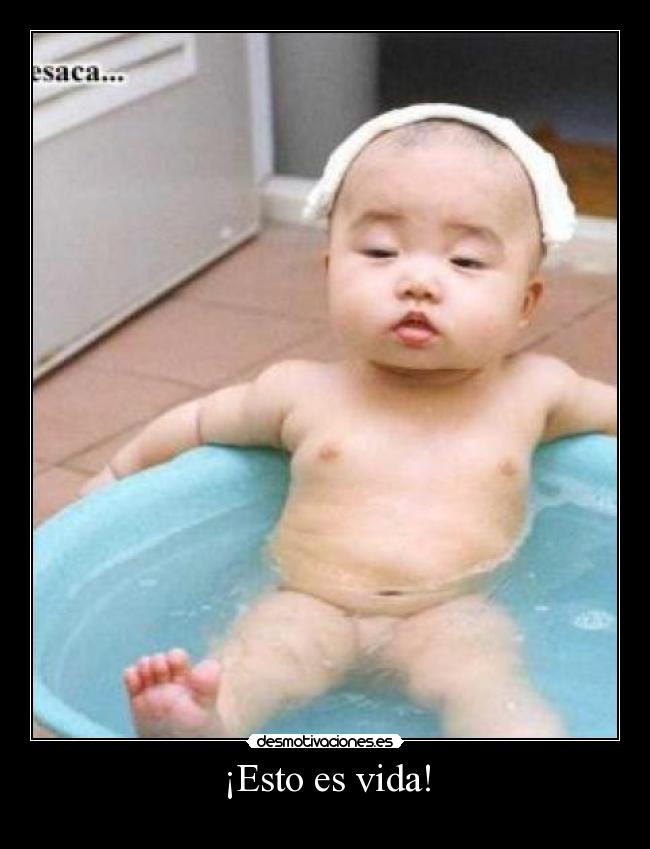 ¡Esto es vida! -