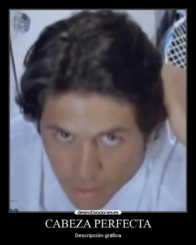 CABEZA PERFECTA - Descripción gráfica
