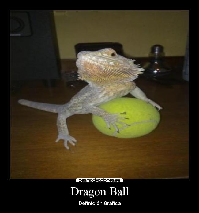 Dragon Ball -