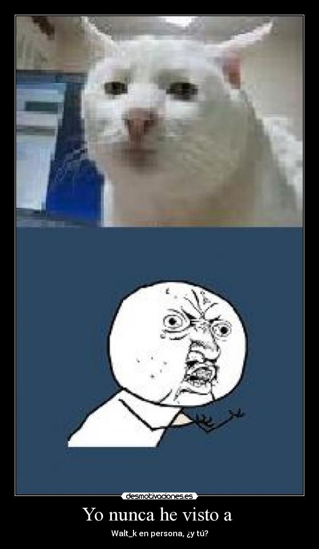 Yo nunca he visto a -
