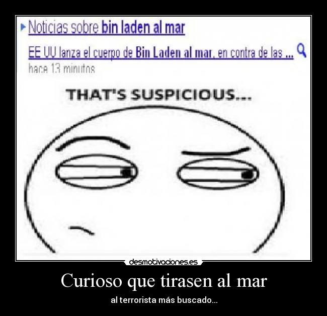 Curioso que tirasen al mar -